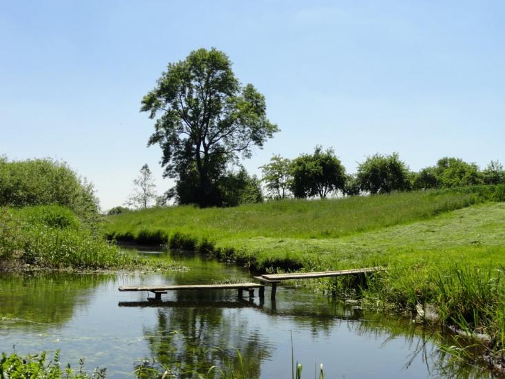 Бодячів з panoramio.com - Бодячев