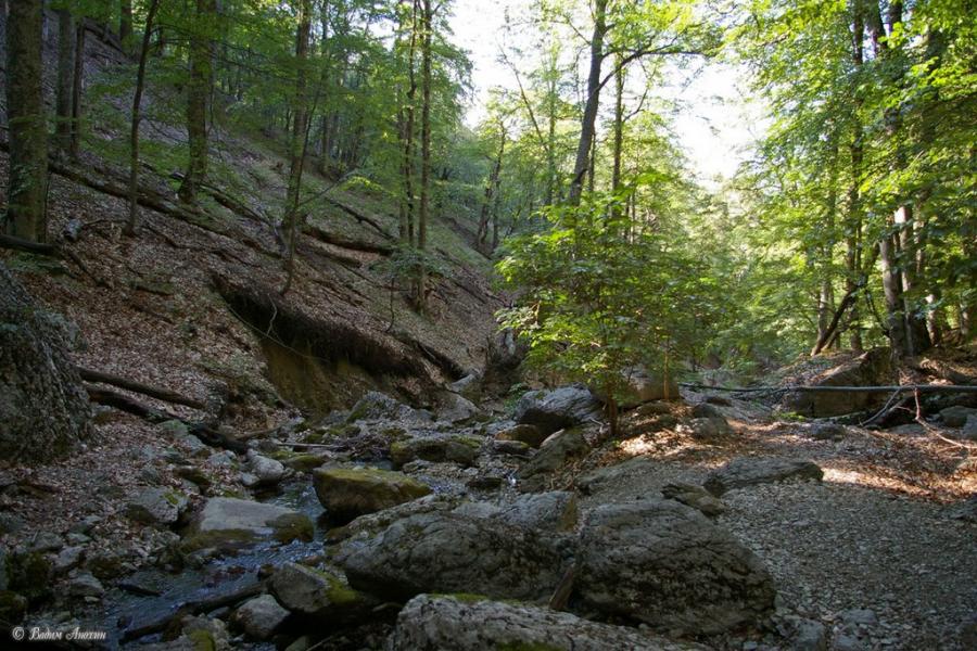 Підгородне з panoramio.com - Подгороднее