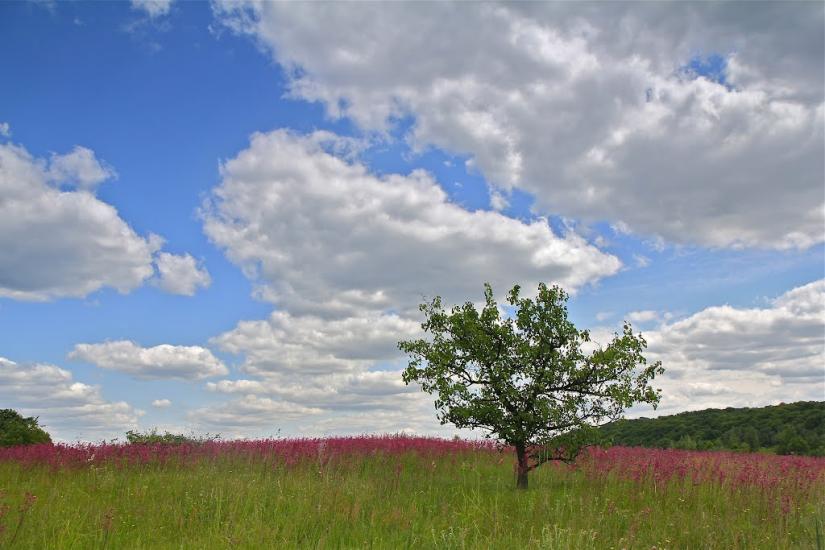 Губків з panoramio.com - Губків