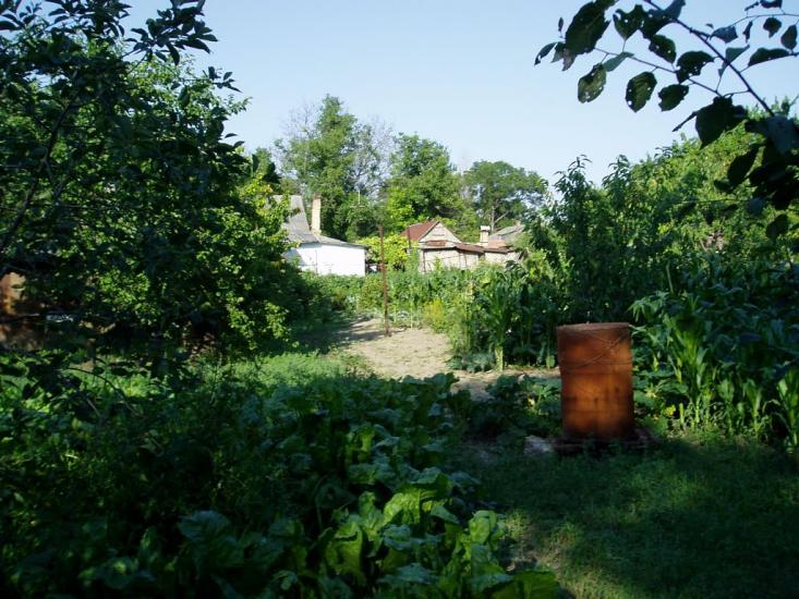 Жемчужина з panoramio.com - Жемчужина