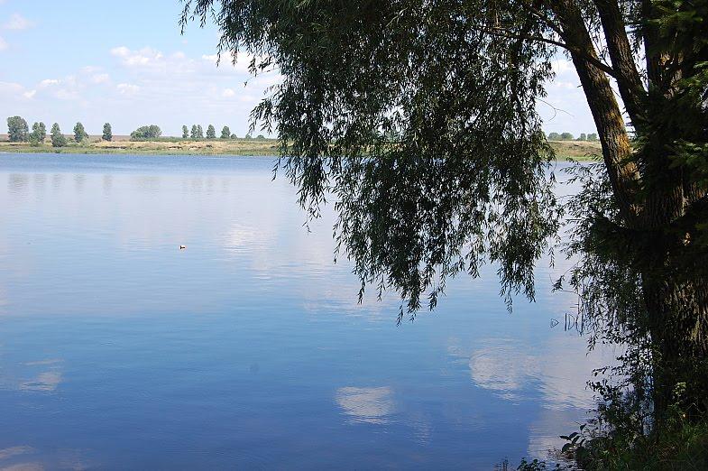 Набережне з panoramio.com - Naberezhne