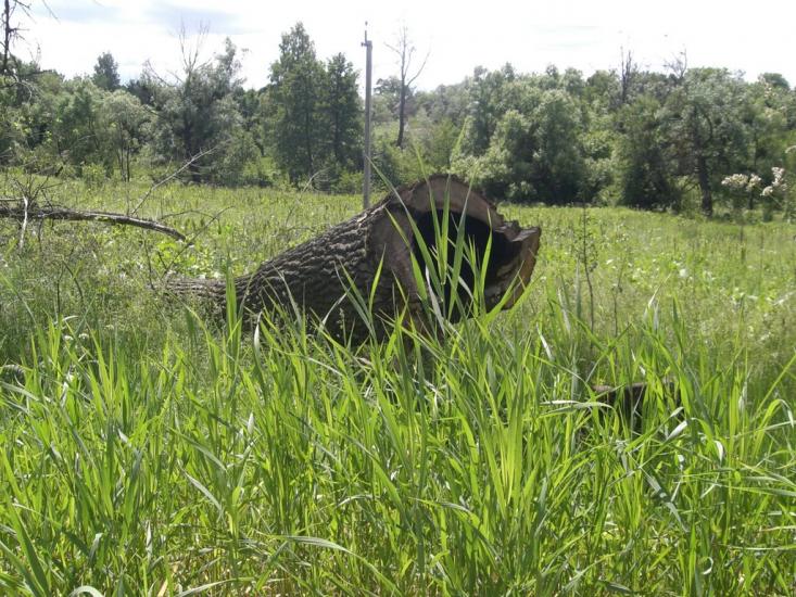 Гвоздів з panoramio.com - Гвоздов