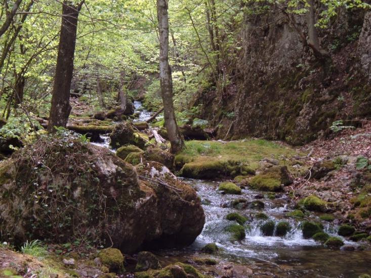 Многоріччя з panoramio.com - Многоречье