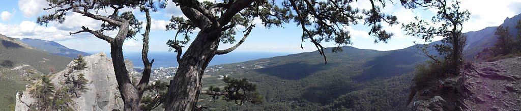 Відрадне з panoramio.com - Отрадное