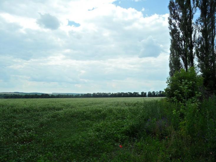 Новофастів з panoramio.com - Новофастів