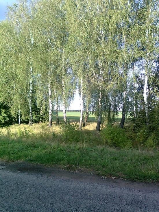 Люлинці з panoramio.com - Люлинцы