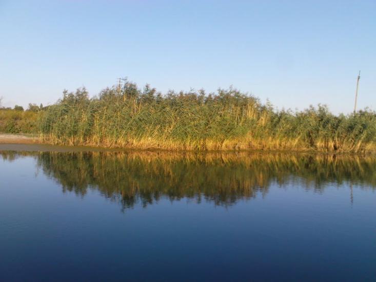 Третяківка з panoramio.com - Третяківка