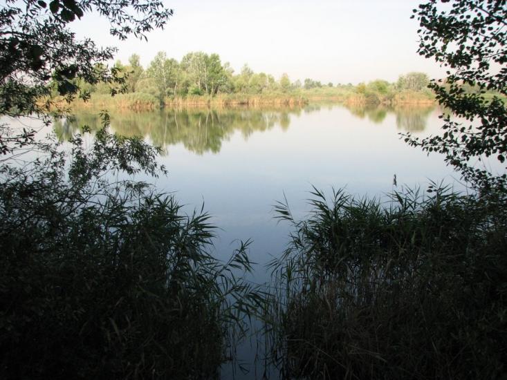 Черемушне з panoramio.com - Cheremushne