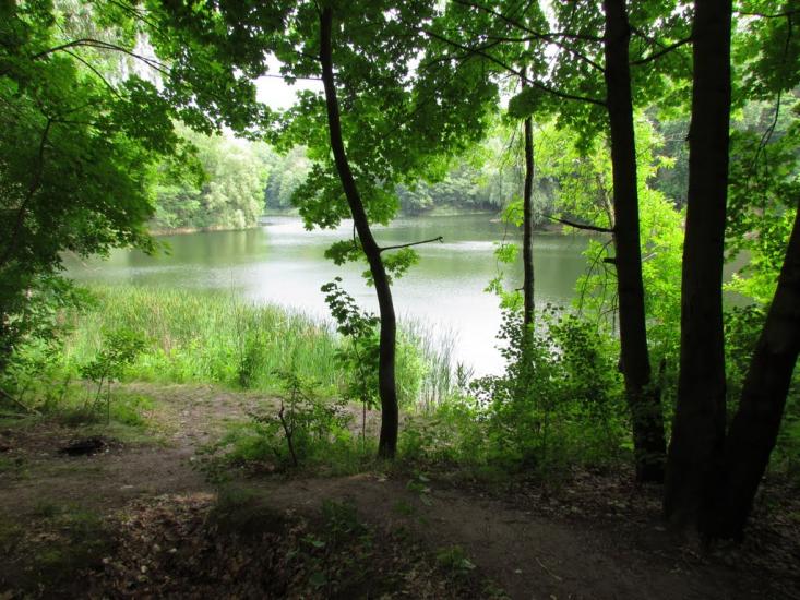 Халеп'я з panoramio.com - Халепье