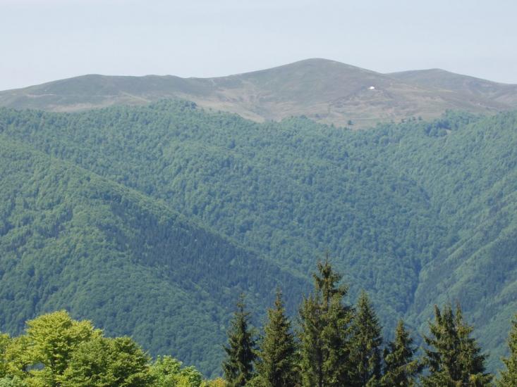 Усть-Чорна з panoramio.com - Усть-Чорна