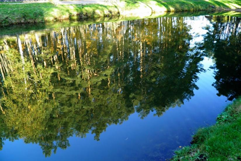 Ромашківка з panoramio.com - Ромашковка