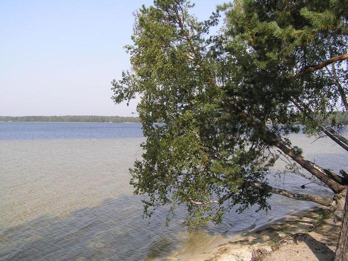 Рудка з panoramio.com - Рудка