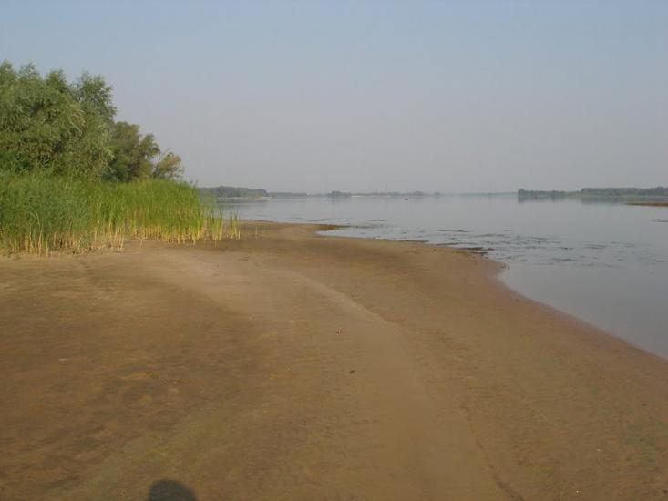 Кривуші з panoramio.com - Кривуши