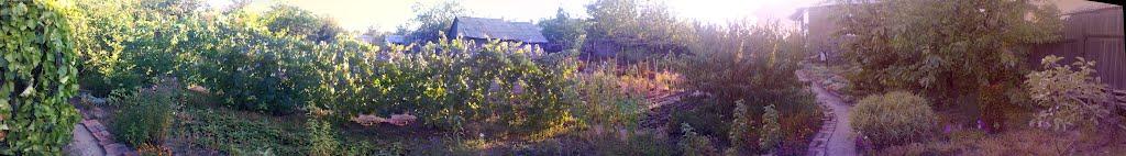 Лотикове з panoramio.com - Лотикове