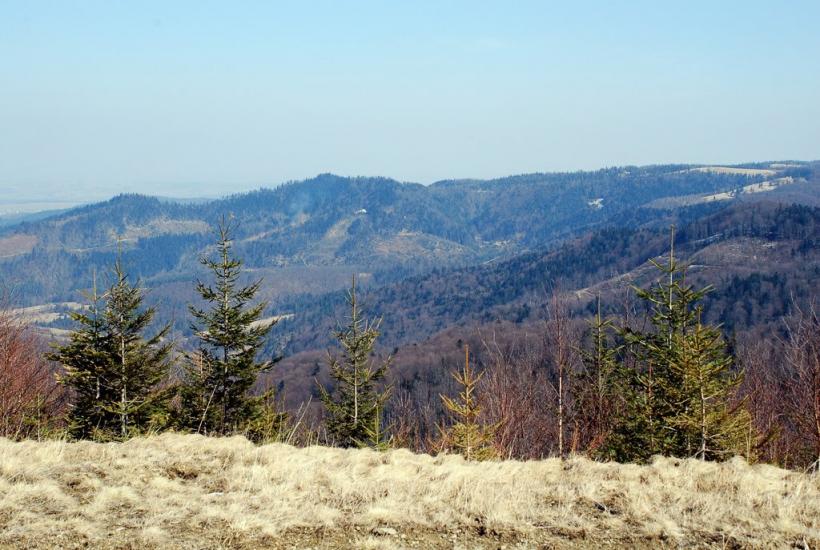 Букове з panoramio.com - Букове