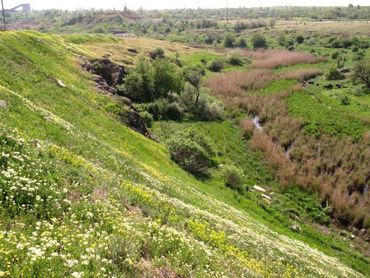 Степне з panoramio.com - Степное