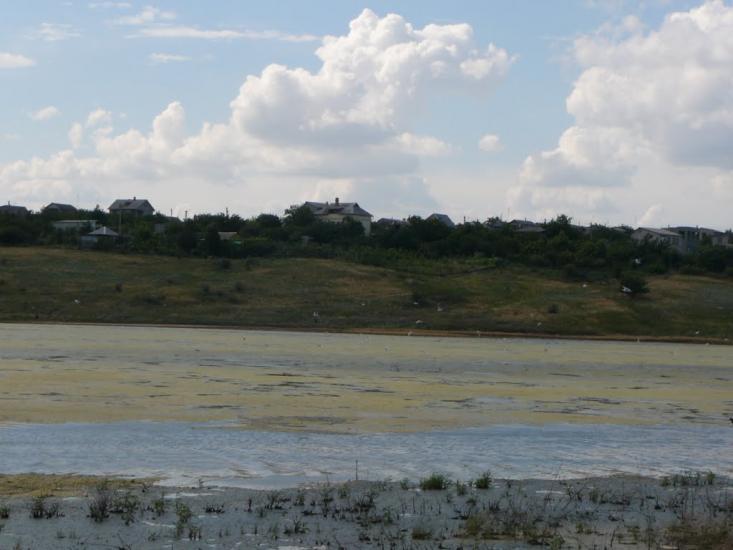 Пшонянове з panoramio.com - Пшеняново