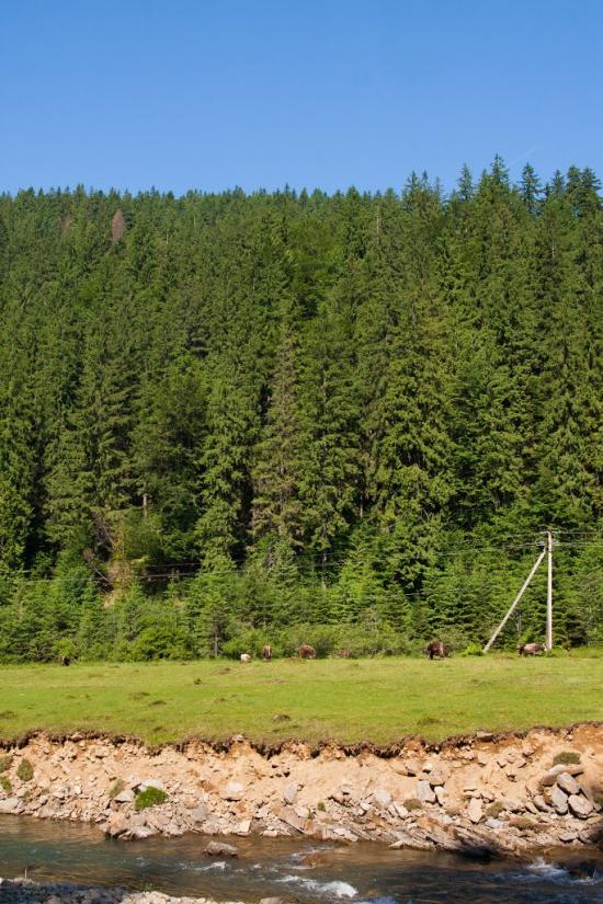 Загорб з panoramio.com - Загорб