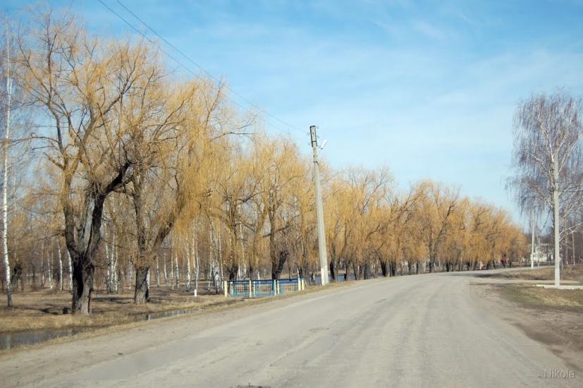 Лиман з panoramio.com - Лиман