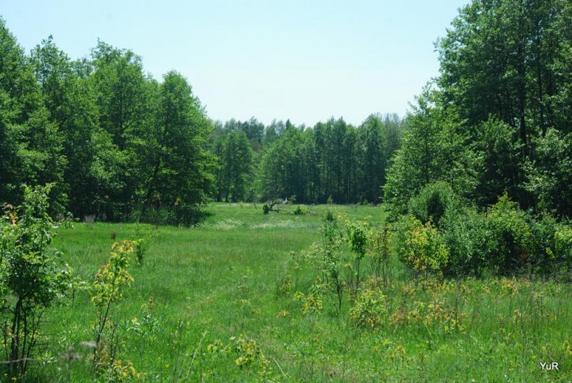 Глинське з panoramio.com - Глинское