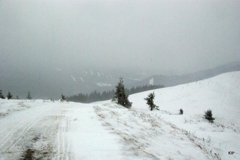 Стебний з panoramio.com - Стебний