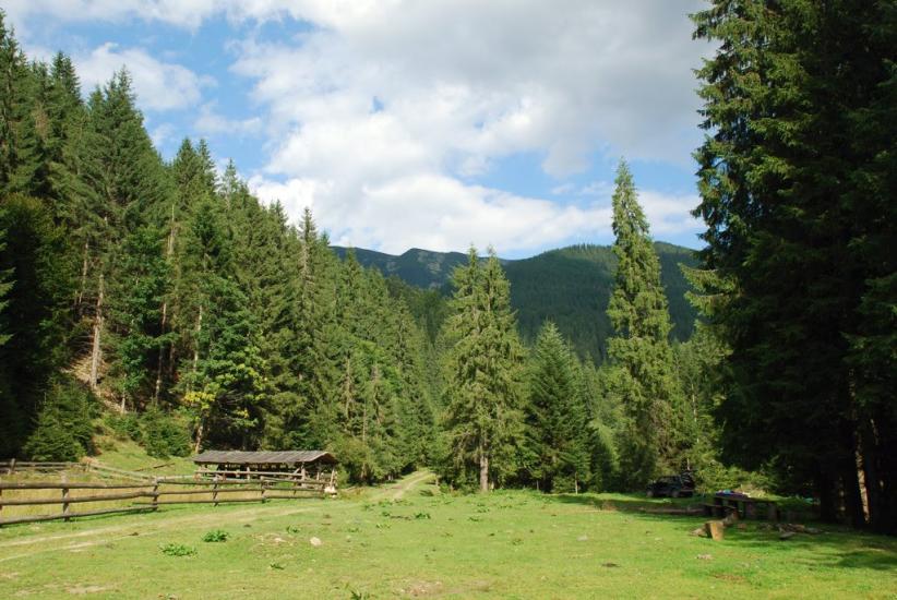 Бистриця з panoramio.com - Быстрица