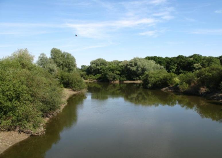 Литовеж з panoramio.com - Литовеж