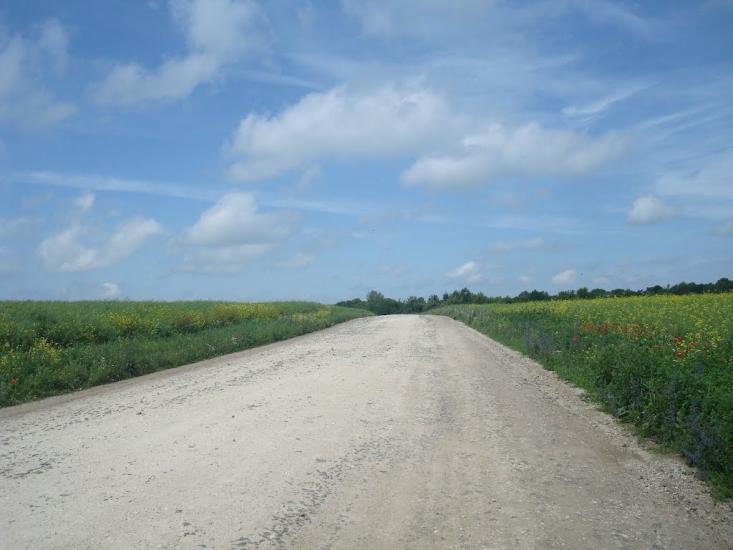 Черепова з panoramio.com - Черепова