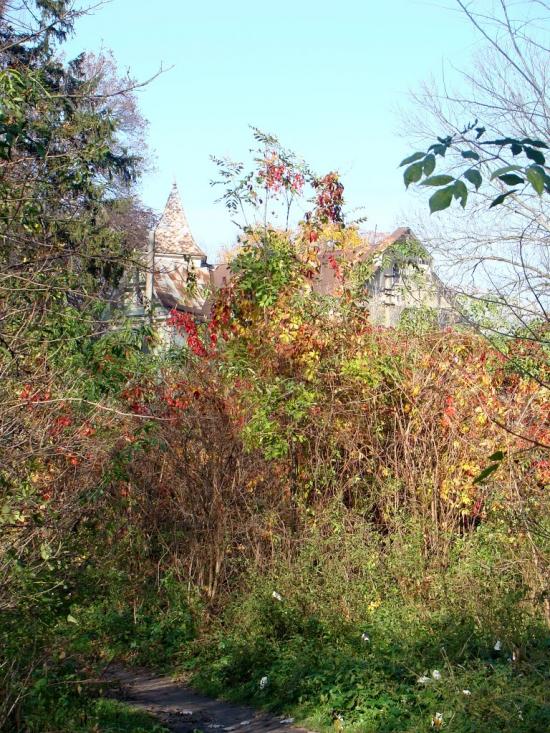 Копилів з panoramio.com - Копылов