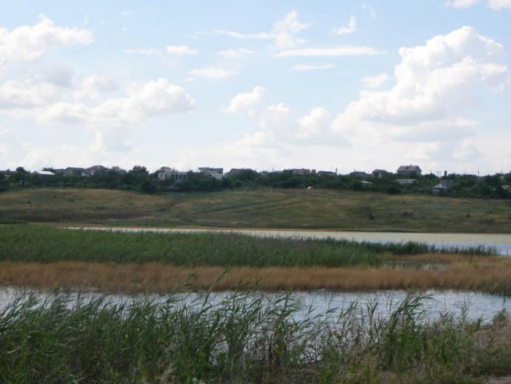 Пшонянове з panoramio.com - Пшеняново