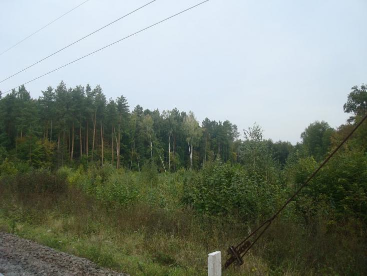 Цвітоха з panoramio.com - Tsvitokha