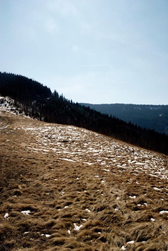 Букове з panoramio.com - Букове