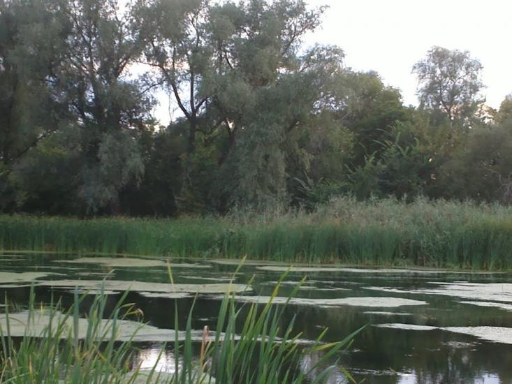 Шульгинка з panoramio.com - Шульгинка