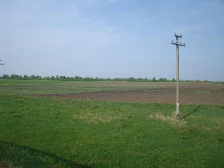 Вербівці з panoramio.com - Вербовцы