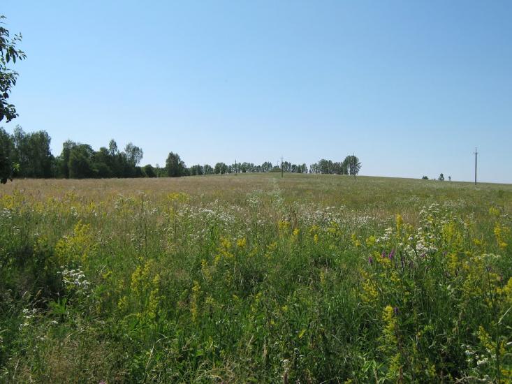 Дебеславці з panoramio.com - Debeslavtsi