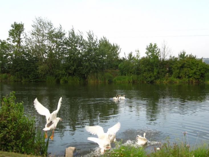 Дем'янів з panoramio.com - Демьянов