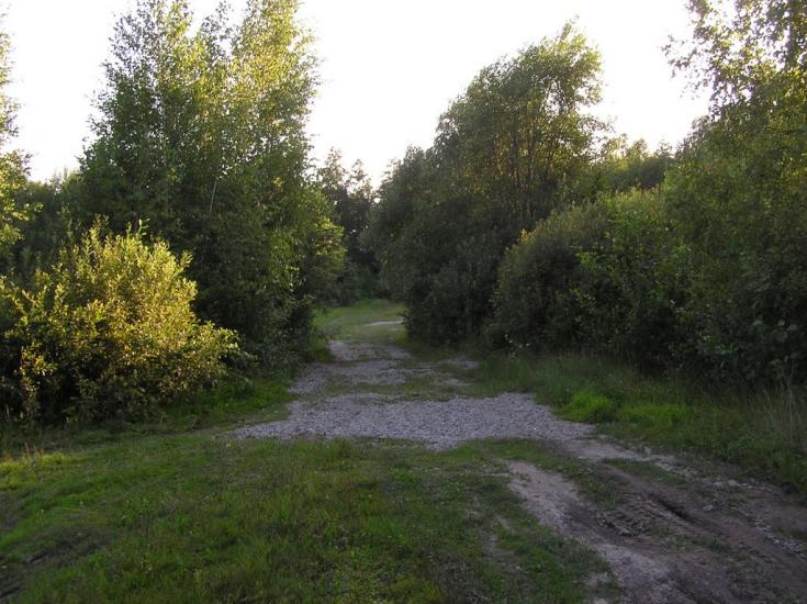 Нова Ушиця з panoramio.com - Новая Ушица