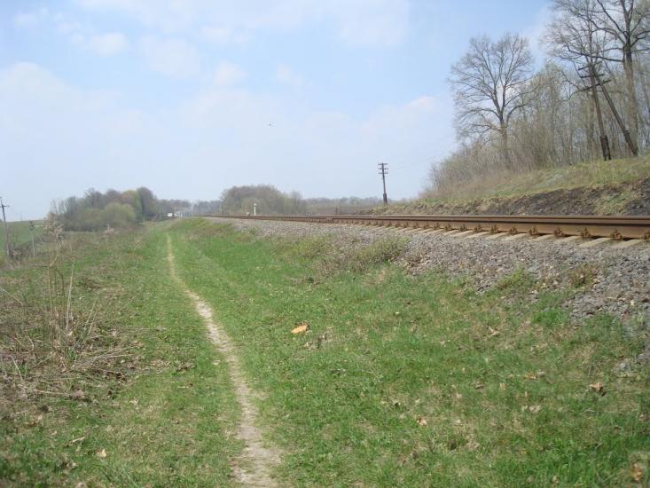 Лісова Волиця з panoramio.com - Лесовая Волица