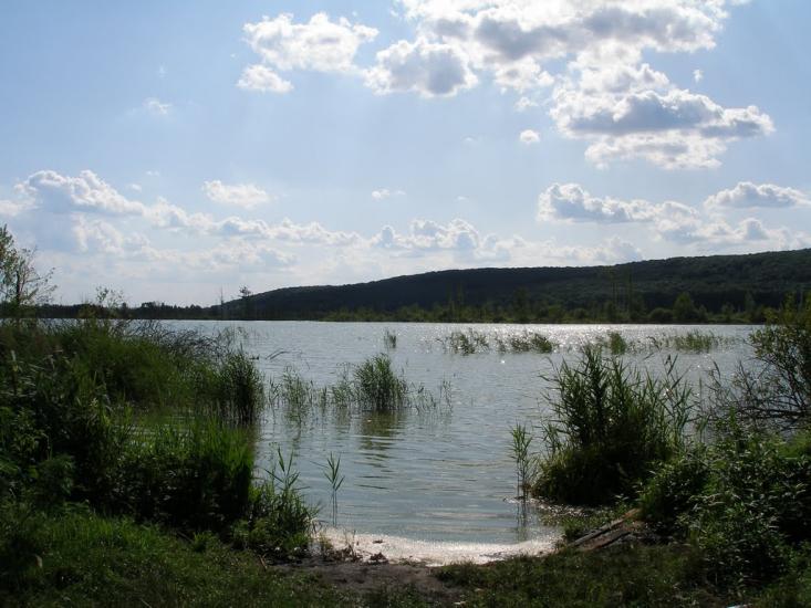 Мошни з panoramio.com - Мошны