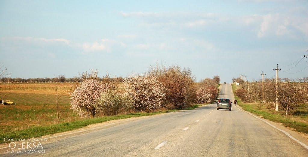 Розсадне з panoramio.com - Рассадное