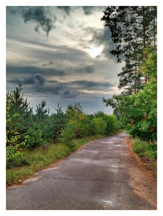 Зазим'я з panoramio.com - Zazymya