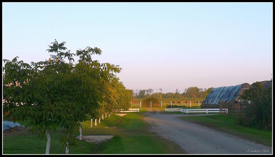 Астей з panoramio.com - Астей