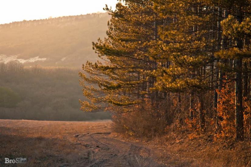 Прохладне з panoramio.com - Прохладное