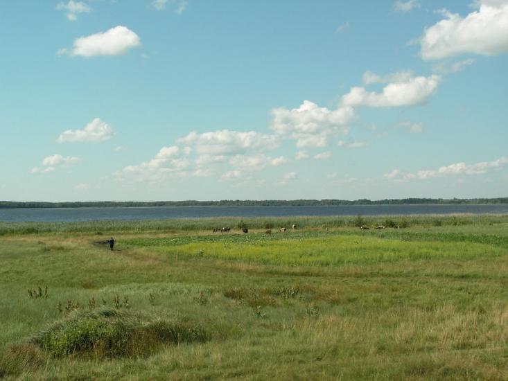 Шацьк з panoramio.com - Шацк