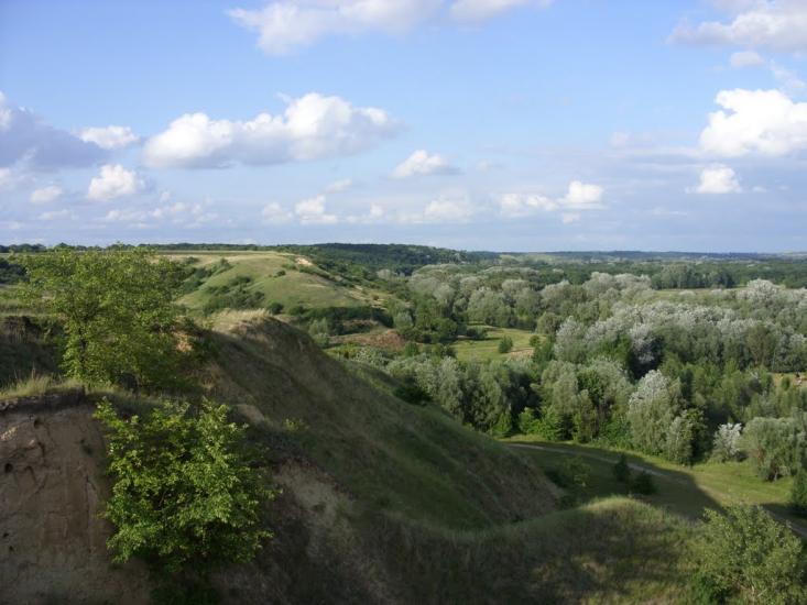 Заможнє з panoramio.com - Заможнє