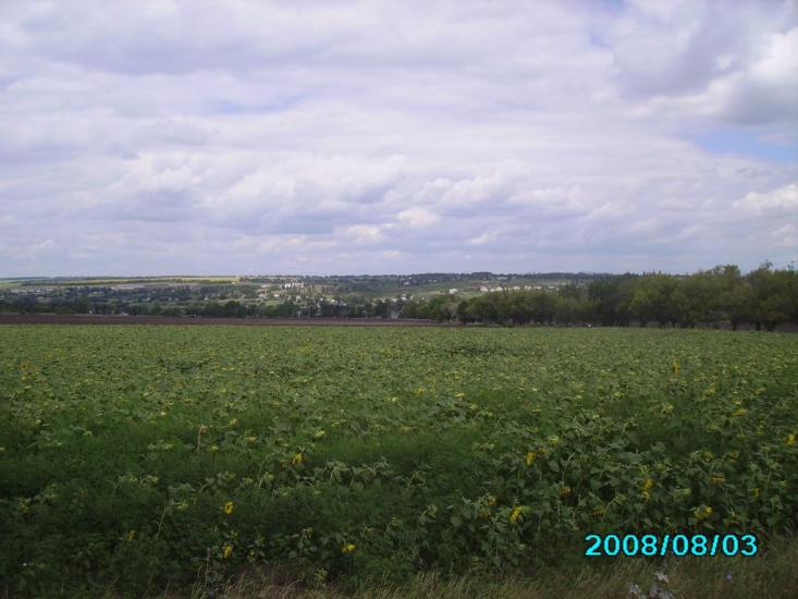 Гаврилівка з panoramio.com - Гавриловка