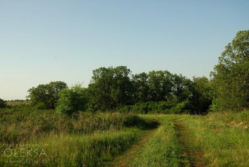 Вікторівка з panoramio.com - Викторовка