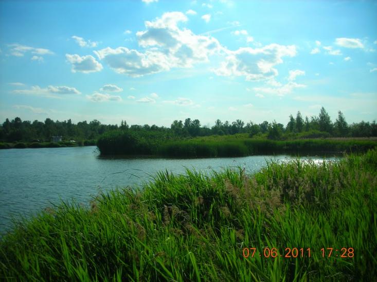Пересічна з panoramio.com - Пересічна
