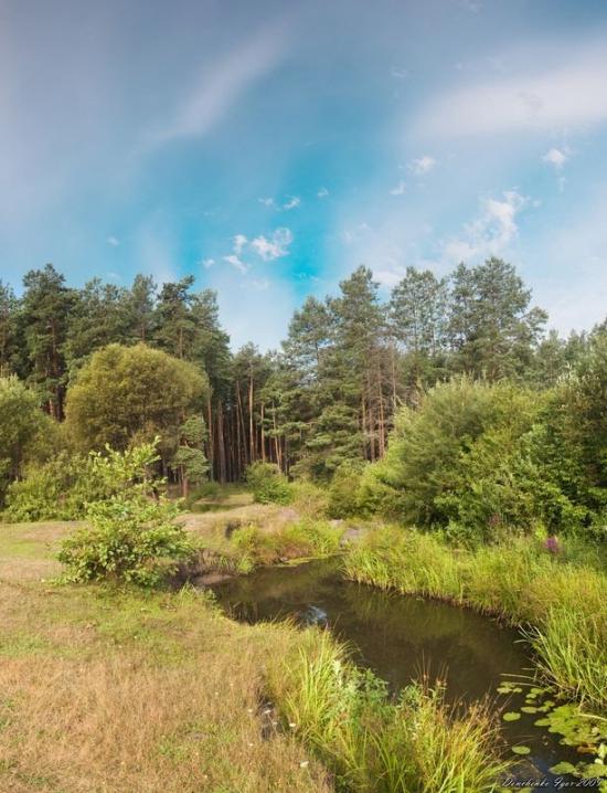 Барашівка з panoramio.com - Барашівка