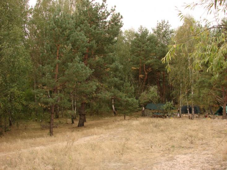 Сорокошичі з panoramio.com - Сорокошичи